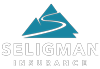 Seligman Insurance